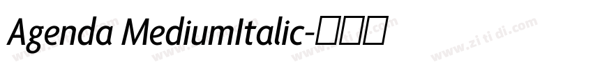 Agenda MediumItalic字体转换